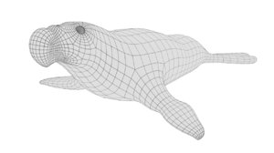 3D model elephant seal mesh