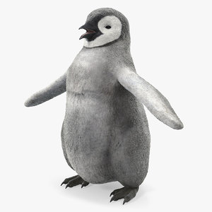 baby emperor penguin t-pose 3D model