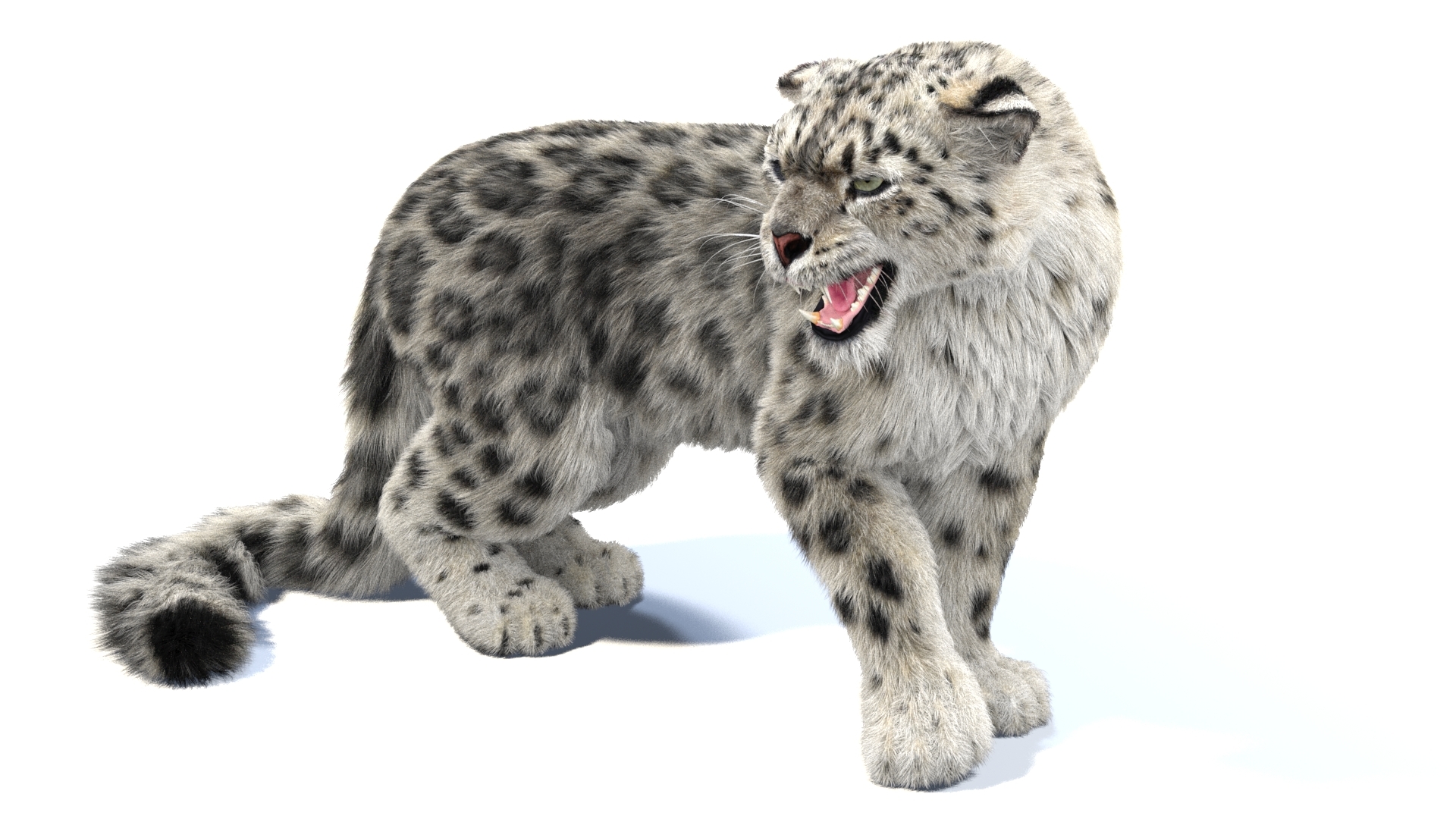 Snow leopard 2 rigged 3D - TurboSquid 1421475