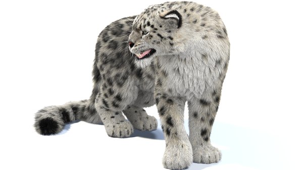 Snow leopard 2 rigged 3D - TurboSquid 1421475