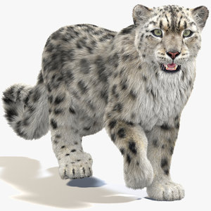 snow leopard 2 furry 3D model
