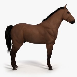 3D model horse skin