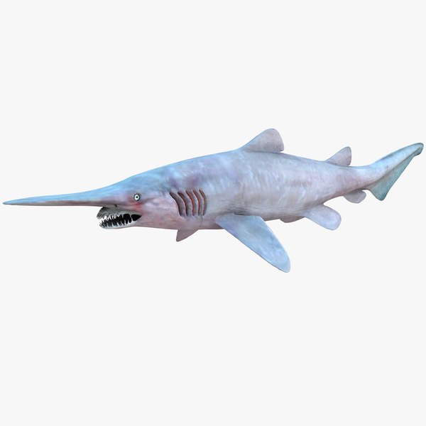 3d model realistic female goblin shark