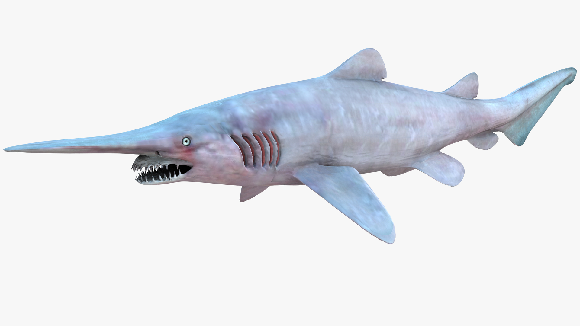 Акула Гоблин акула Домовой