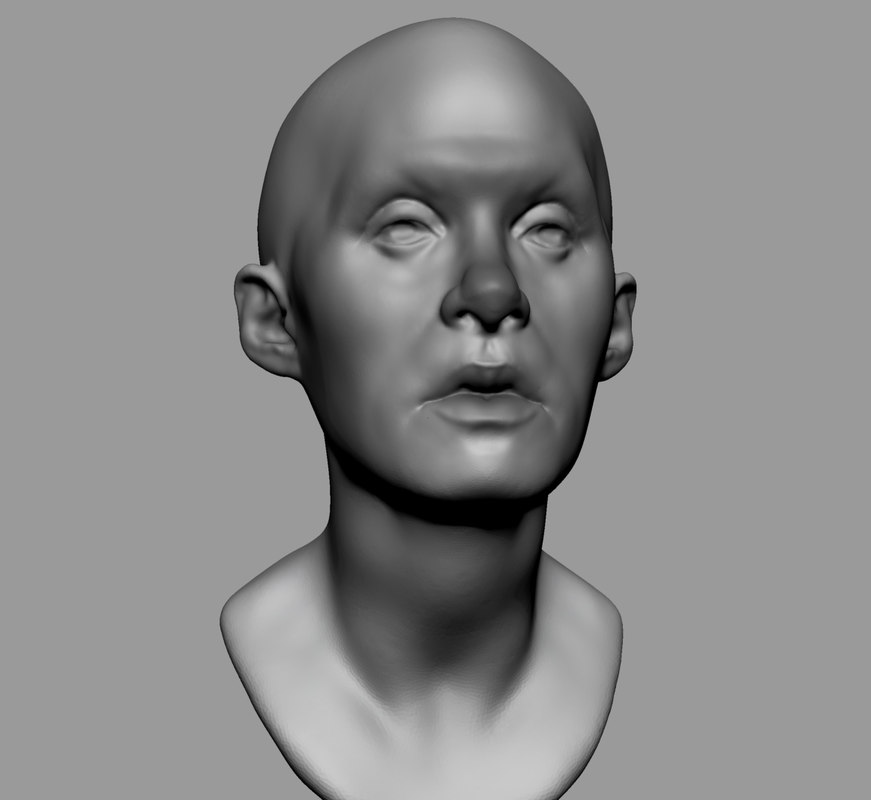 Free 3D Base Female Head Anatomy - TurboSquid 1430534