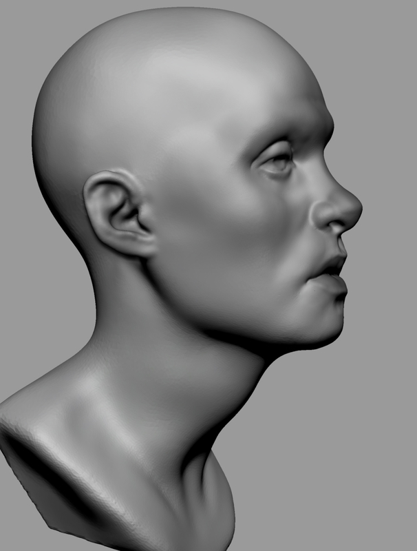 Free 3D base female head anatomy - TurboSquid 1430534