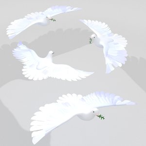 3D dove pigeon bird