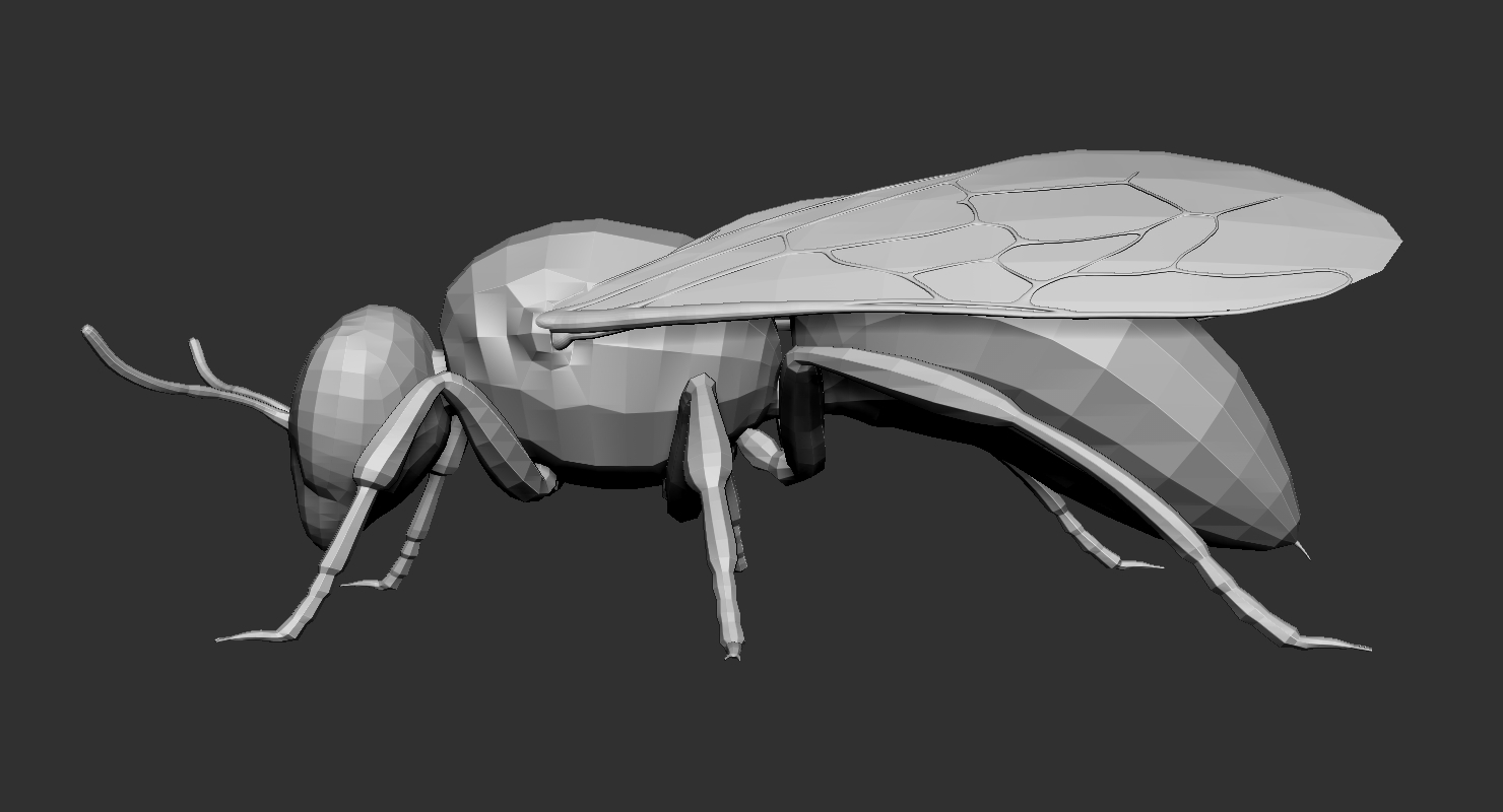 蜜蜂基地网2019年3d模型