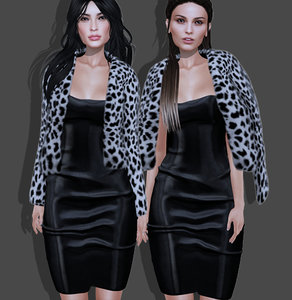 coat fur dress 3D model