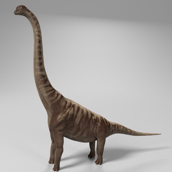 diplodocus 3d models