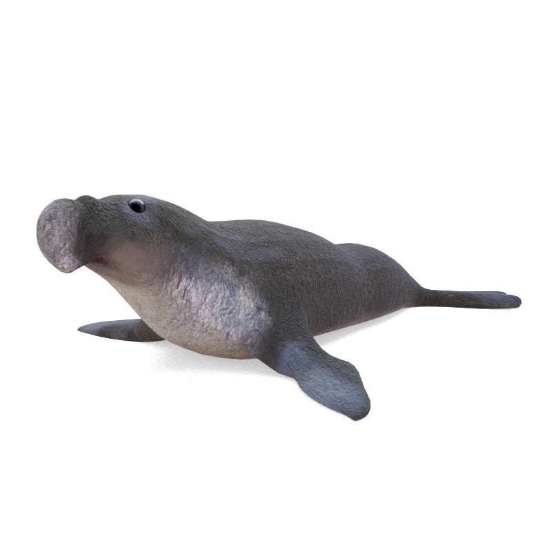 elephant seal stuffed animal