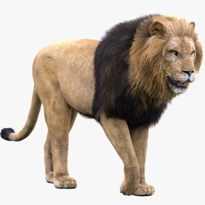 3D lion rigged fur 1 model