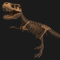 t rex skeleton 3d model