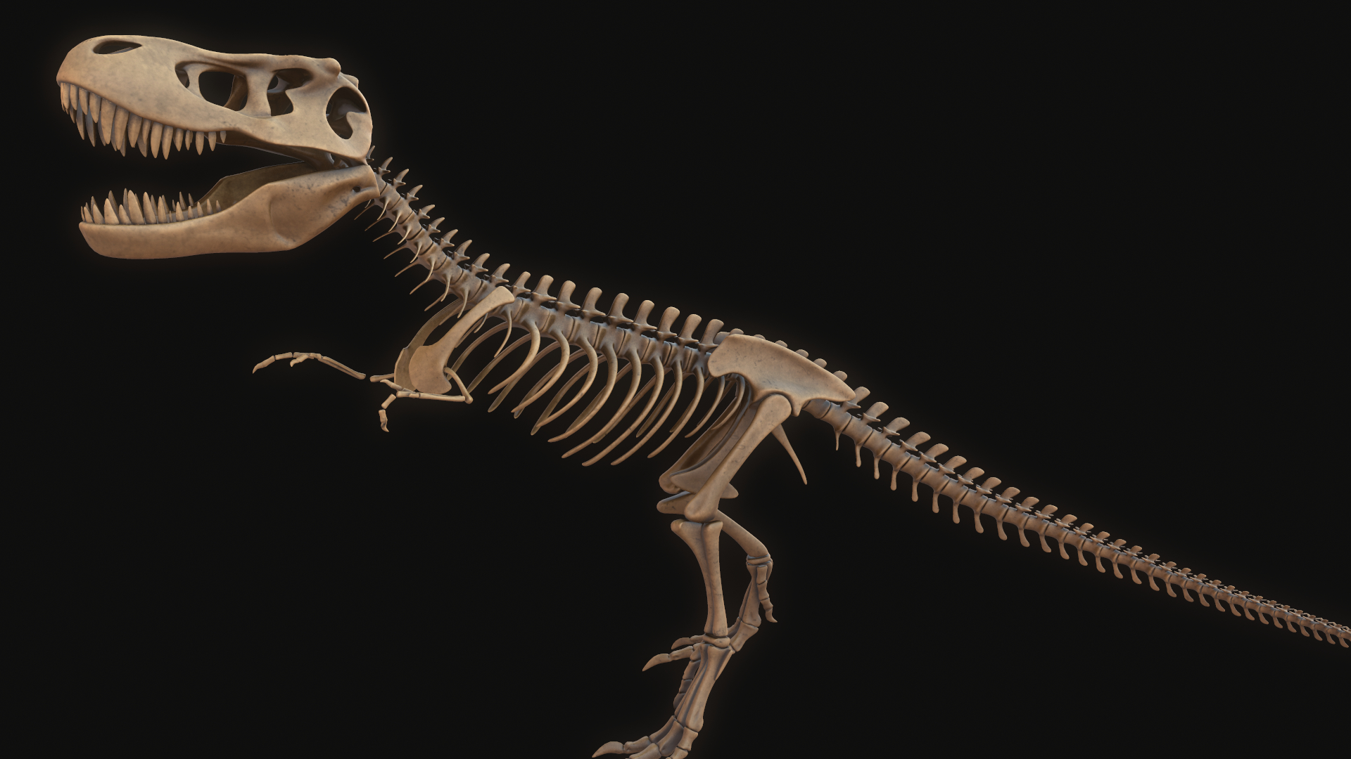 3D model t-rex skeleton - TurboSquid 1432741