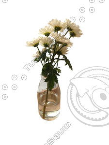 Flowers in vase