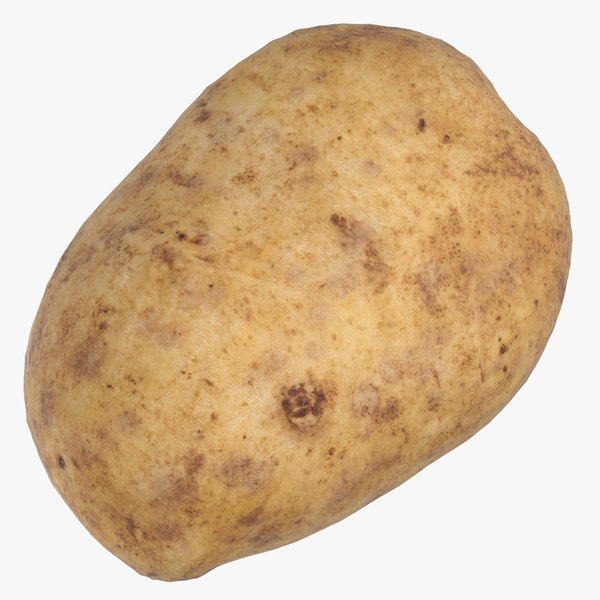 potato 05 ready games 3D model