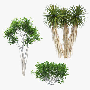3D trees 01 palm model