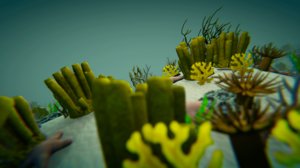 3D model vr corals - underwater