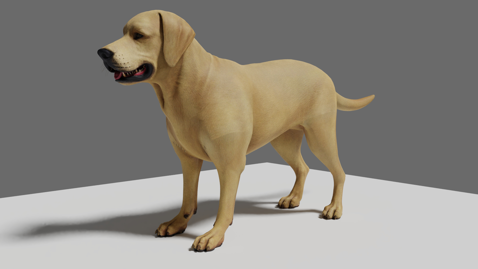 心に強く訴える 3d モデル 犬 3d カランシン