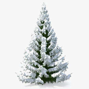 winter snow spruce tree 3D model
