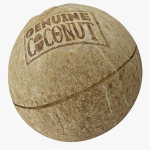 3D coconut 01 polys model