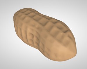 peanut nut pea 3D