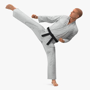 3D model karate fighter fur rigged
