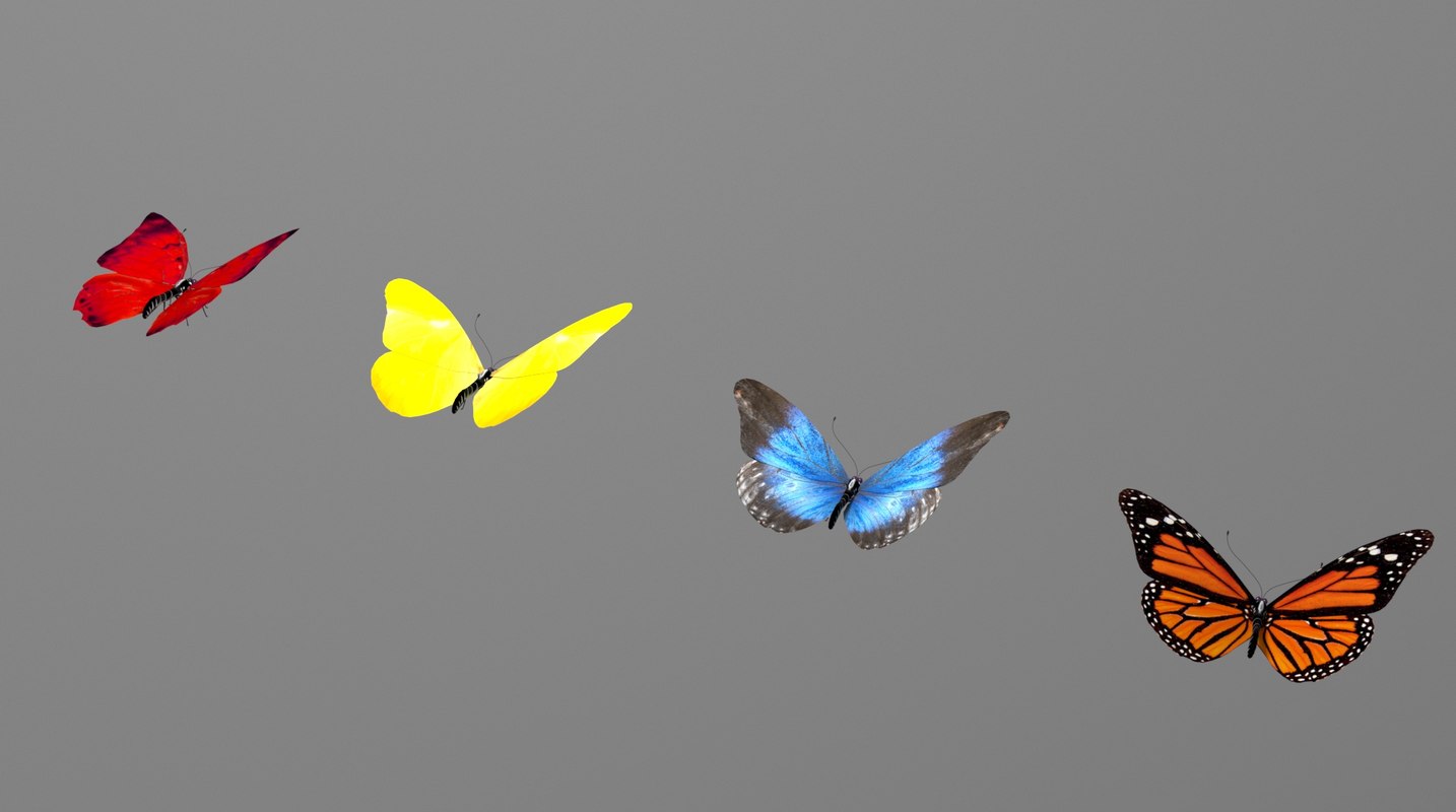 Бабочка 3д модель. Анимация бабочка пазл. 3 D Аниматед бабочки. Бабочка 3d plz сознание. Butterfly 3d White model.