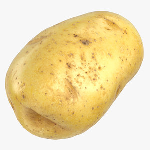 Potato 3d Models For Download Turbosquid