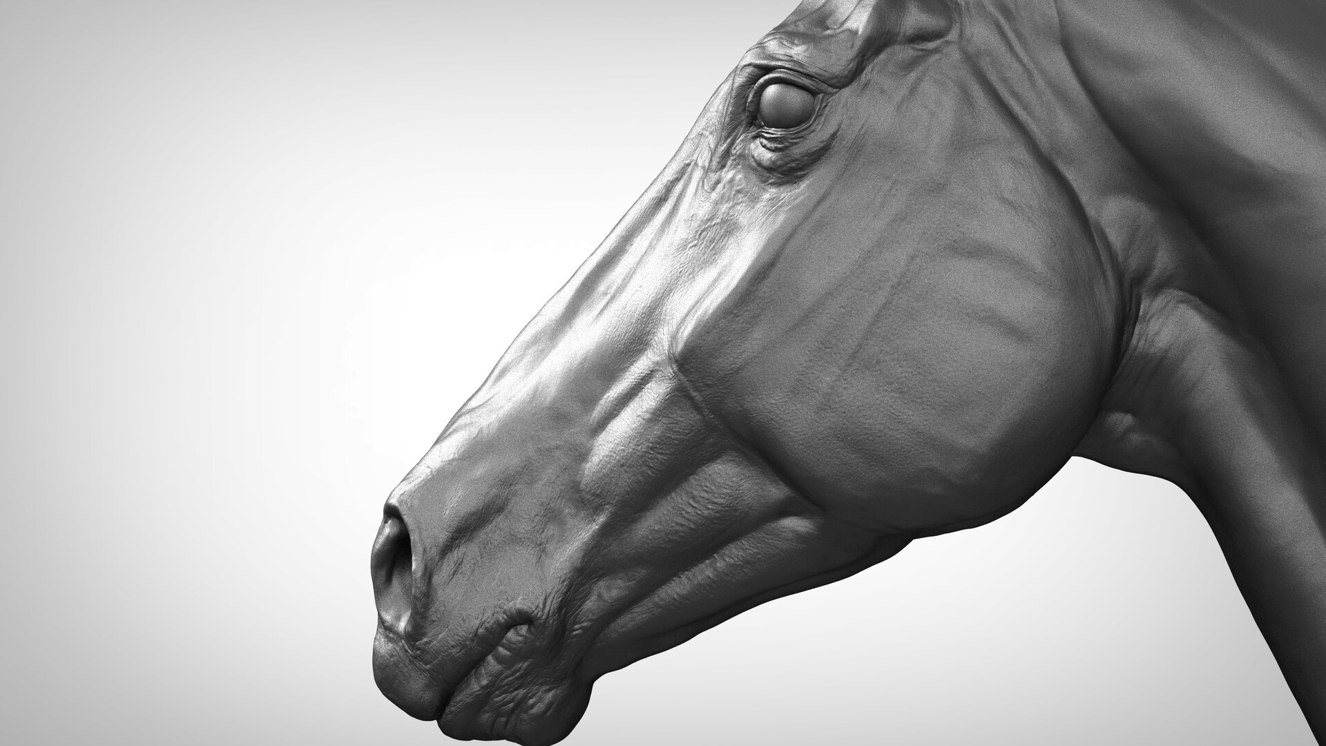 horse ztl zbrush 3d obj