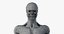 skin elder male skeleton 3D model