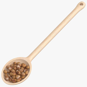 3D wooden spoon roasted soy