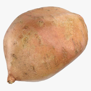 sweet potato 04 model