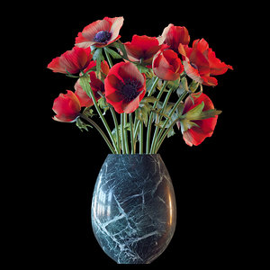 3D bouquet red anemones model