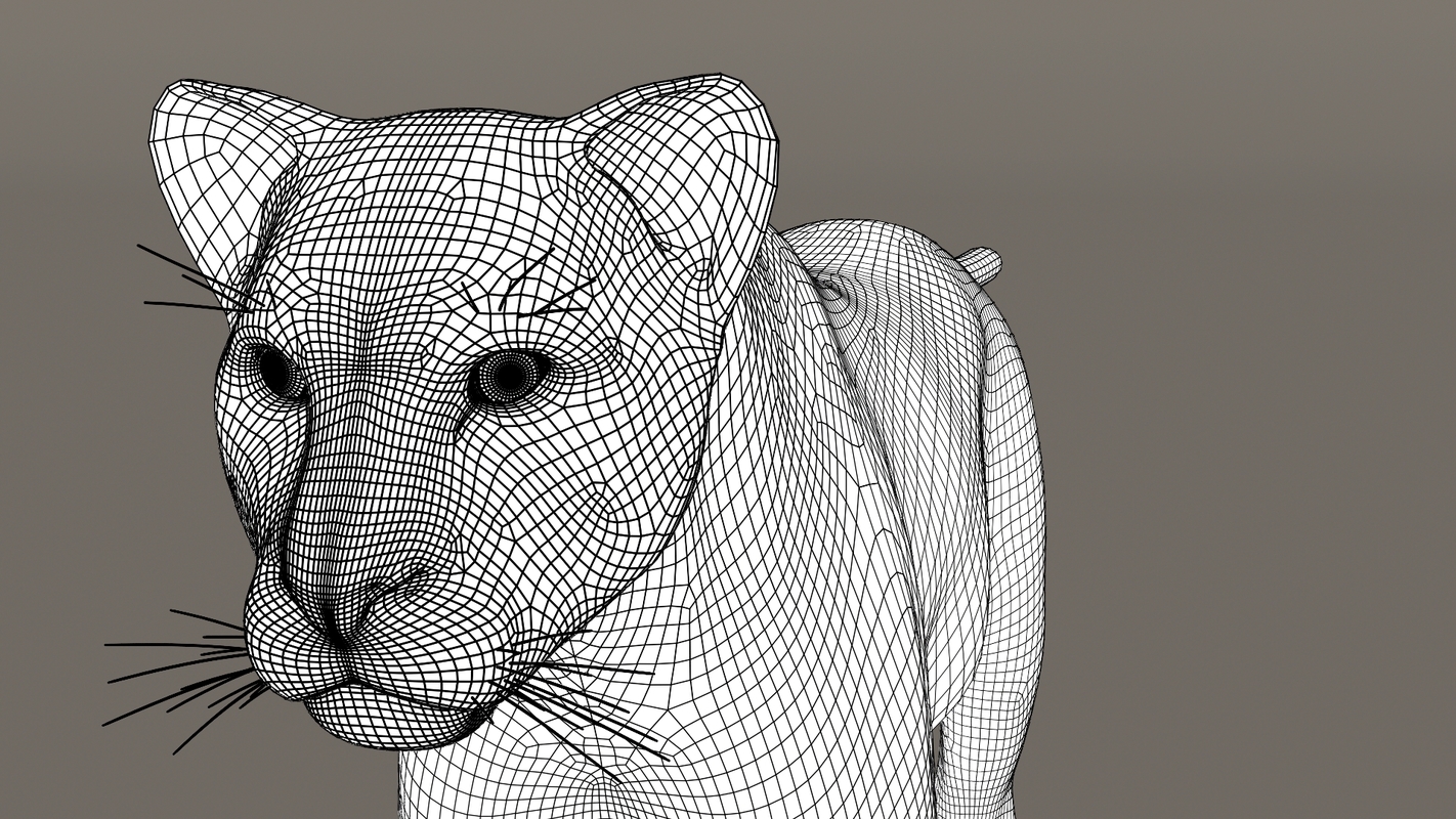 puma wire