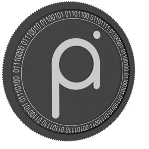 project pai black coin 3D model