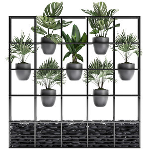 3D model houseplants exotic plants