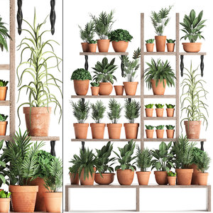 vertical garden plants model