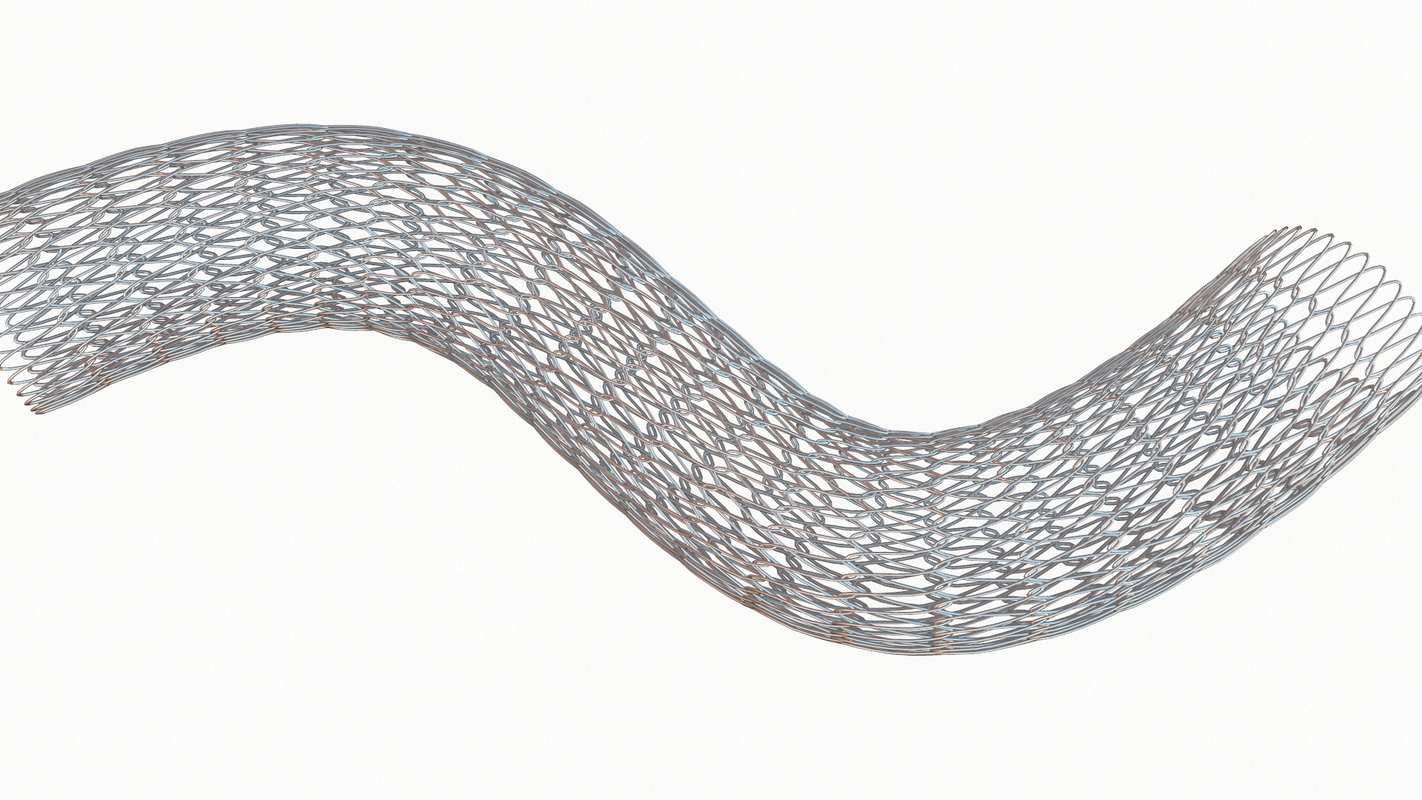 3D stent medical model - TurboSquid 1435198