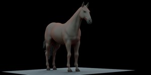 rig advanced horse blender 3D