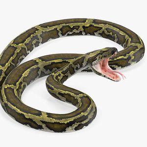 3D green python snake rigged