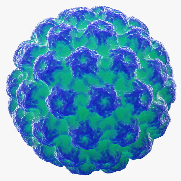 papilloma virus b19