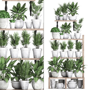 3D vertical garden plants