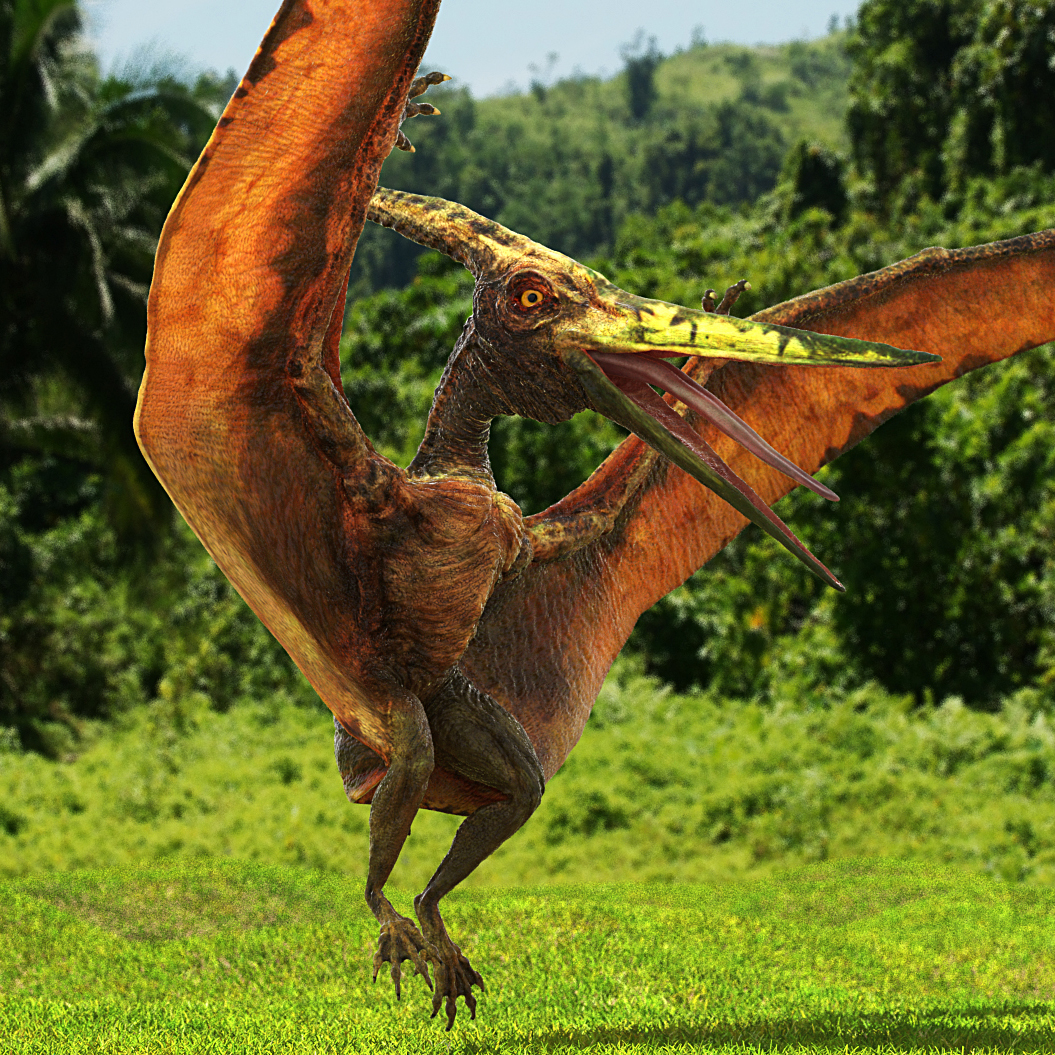 pteranodon flying dinosaur