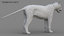 realistic rigged tiger fur 3D model