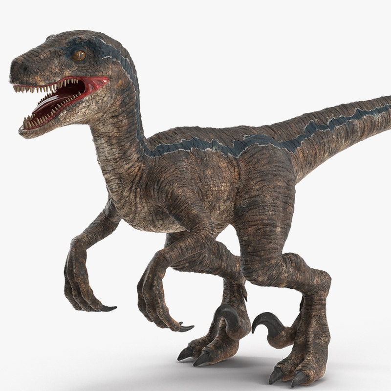 velociraptor google 3d