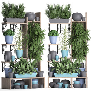 3D vertical exotic plants
