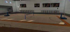 sport basketball football volleyball 3D model