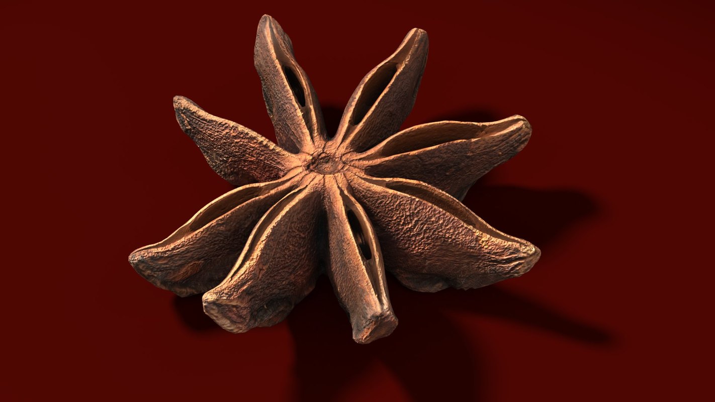 Staranise star anis 3D model TurboSquid 1436458