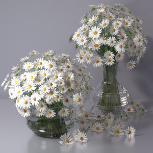 flower bouquet chamomile daisy 3D